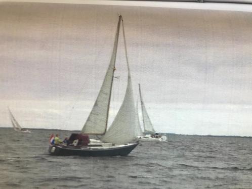 stalen zeilboot Wibo 930 te koop