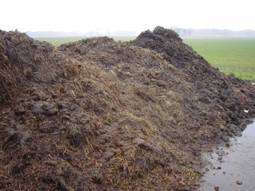 stalmest  compost  grondverbeteraar  mest