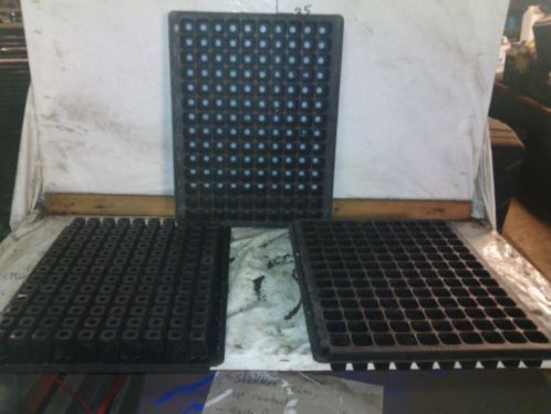 stektrays zaaitrays