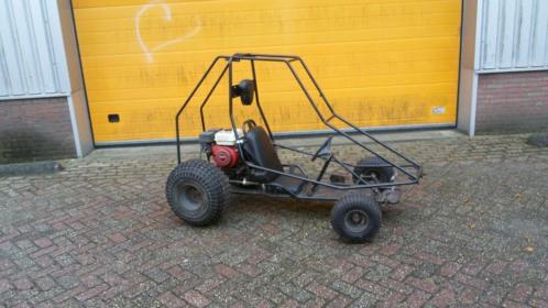 Stoere en snelle Dingo Buggy