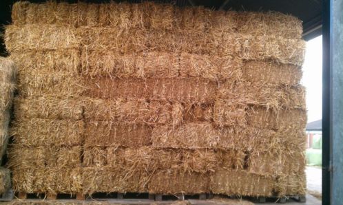 Stro ter bescherming en ter voeding van de plant