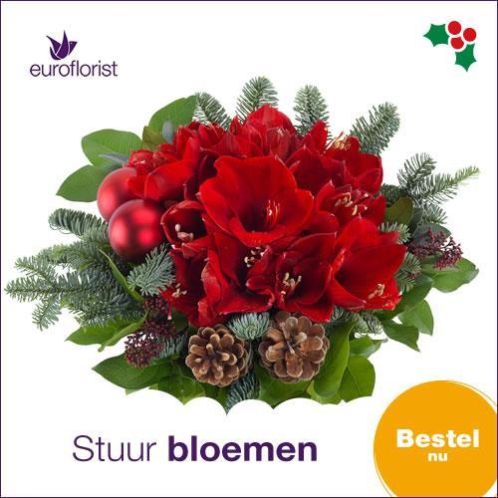 Stuur een bos bloemen Vandaag nog bezorgd TOT 50 KORTING