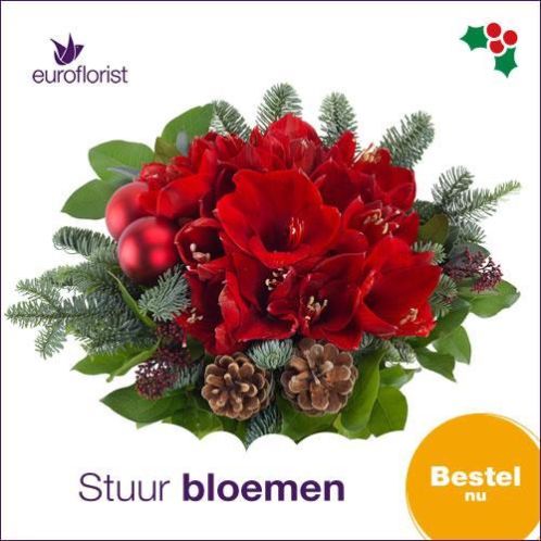 Stuur een bos bloemen Vandaag nog bezorgd TOT 50 KORTING