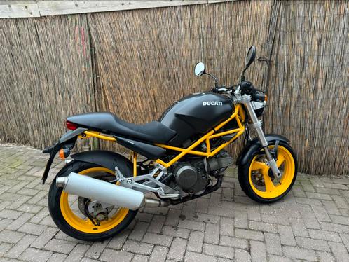 Super mooie geel zwarte Ducati M600 dark monster.