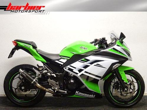 Superstrakke Kawasaki NINJA 300 ABS (bj 2015)