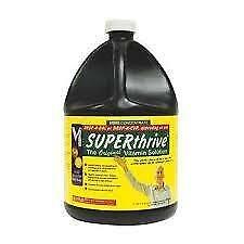 Superthrive 3.8ltr 270 euro