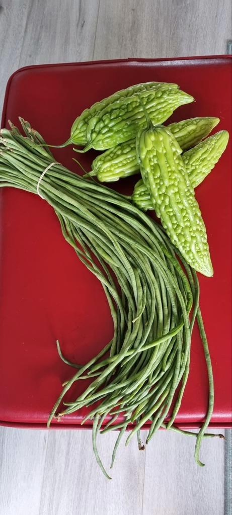 Surinaamse biologische groente