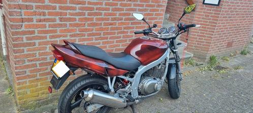 Suzuki gs 500e 2003 A2 motor