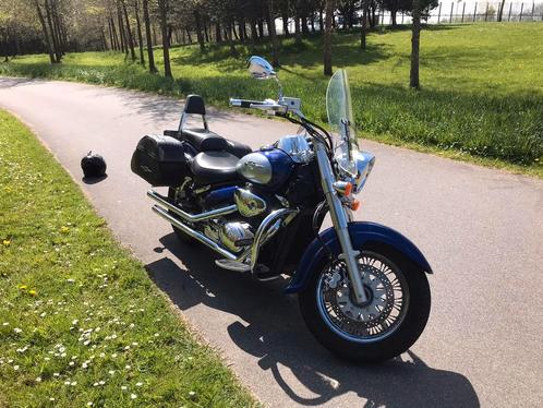 Suzuki intruder