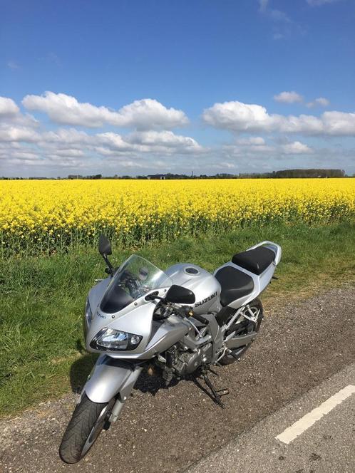 Suzuki motor sv650s