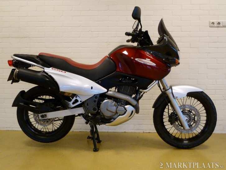 Suzuki xf 650 freewind 