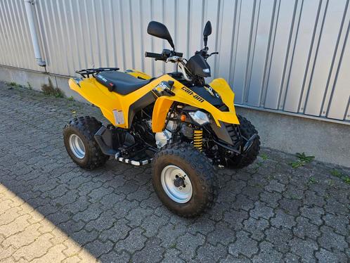 Sym can-am ds 250 quad met kenteken