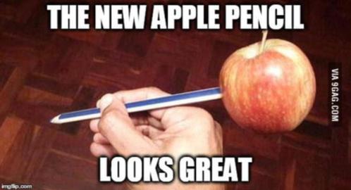 Tantoe mooie overpriced apple pencil 2