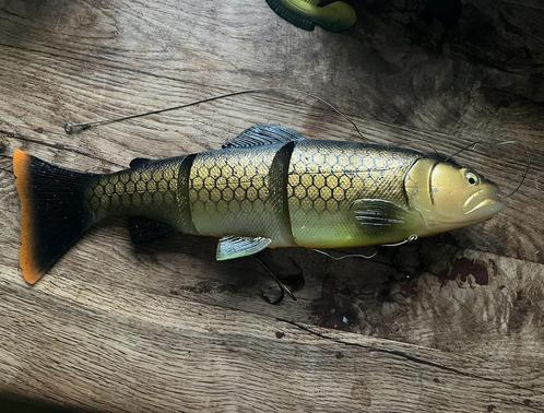 Te koop 40 cm line thru trout ( oude kleur)