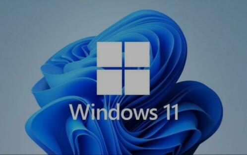 Te koop aangeboden Windows 11 Professional nl