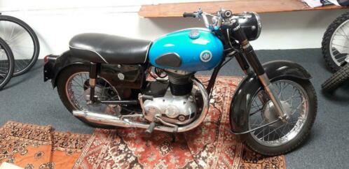 Te koop Ajs c14