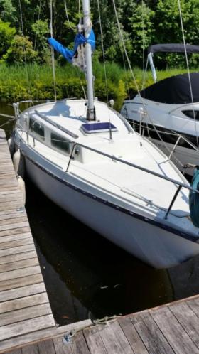 TE KOOP Daimio polyester zeilboot (7.20 meter)