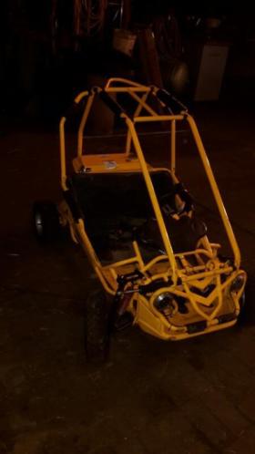 Te koop een cross buggy 2 zits