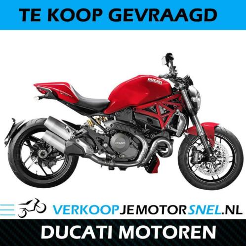 Te koop gevraagd gezocht Ducati motoren
