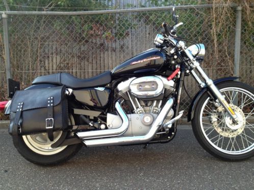 te koop Harley Davidson sportster 883 custom XL 53C