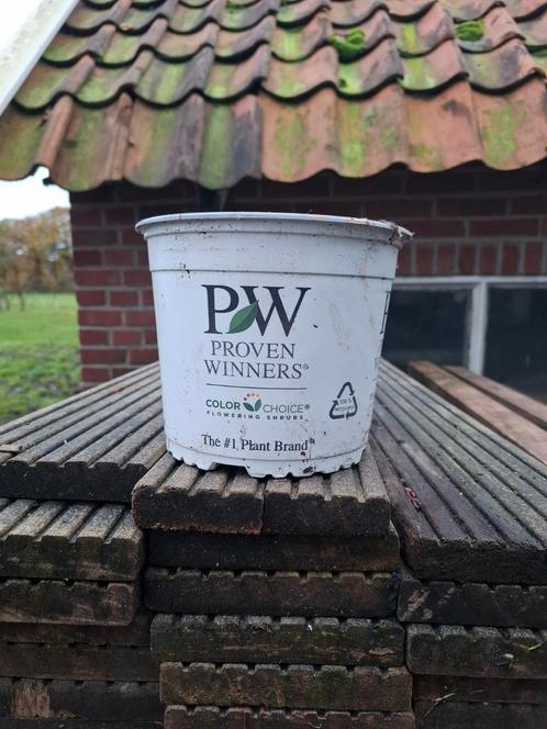 Te koop kweek potten plastic bloempotten
