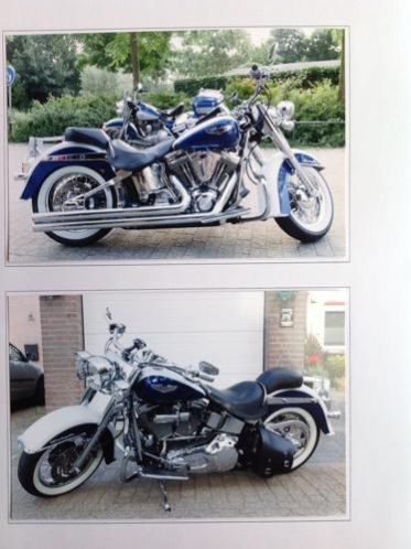 Te koop mooie Harley Davidson