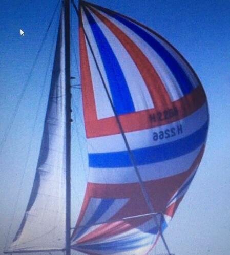 Te koop mooie Spinnaker Tri-radial head North sails