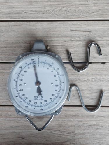 Te koop nieuwe meerval weegschaal tot 200kg
