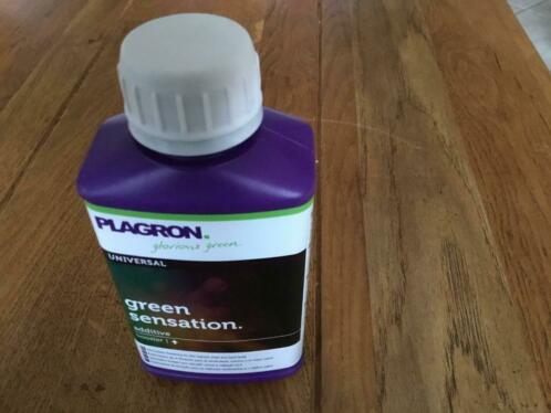 Te koop plagron green sensation