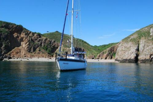 Te koop self-supporting PIEWIET 930