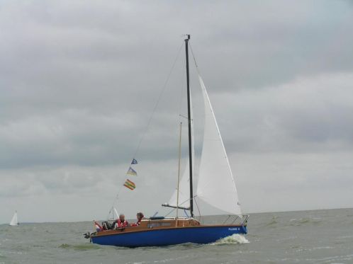 Te koop wegens ziekte Kolibri-560 plus wegtrailer