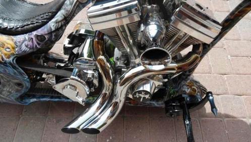 Thunder Cycle Designs Exhaust System Chrome Nieuw