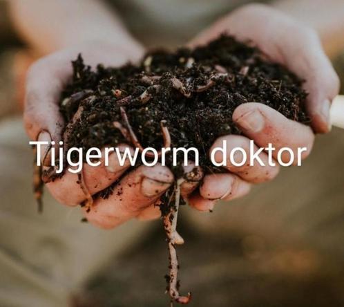 Tijgerwormen voor wormhotel en tuin, en vissen