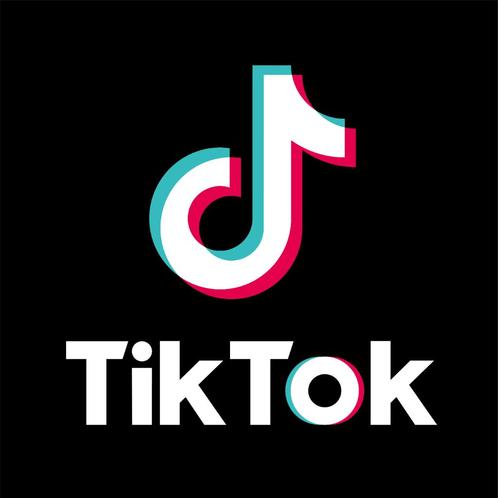 TikTok Accounts with 1000 FollowersAdd 1000 Followers to yo