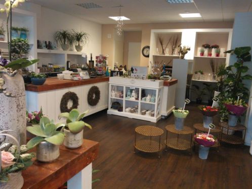 Trend Flowers voor al uw bloemen en planten