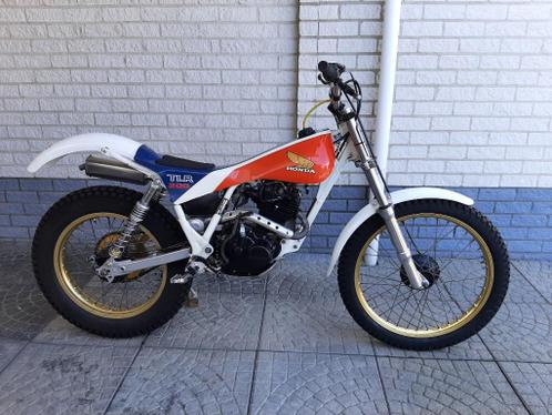 trial motor HONDA  TLR  200