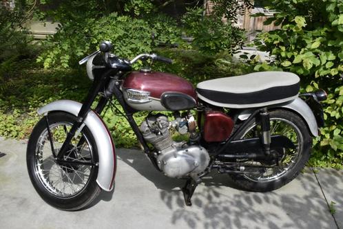 triumph tigercup