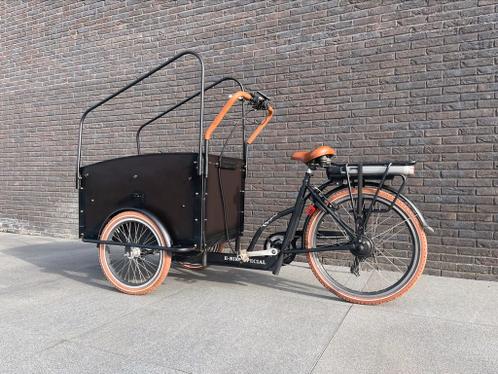 Troy Vogue Special elektrische bakfiets, inclusief huif