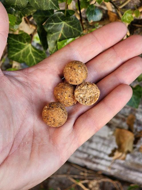 TSC ( The Safe Choice) boilies 20mm 5kg
