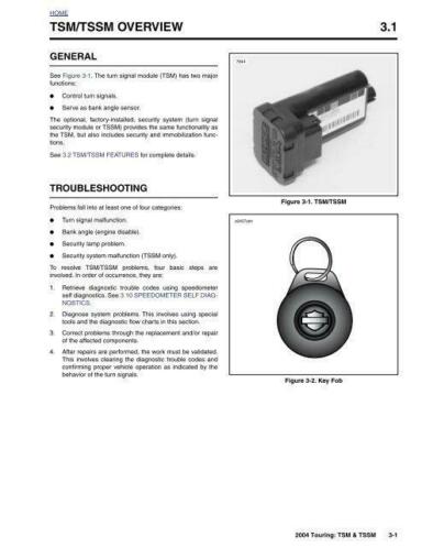 TSSM Harley Davidson met 2x fob