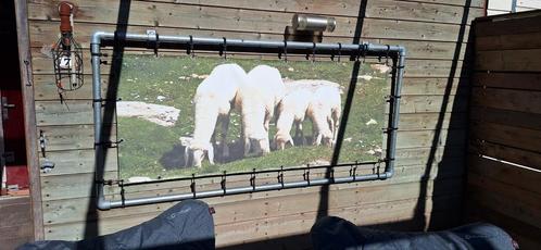 Tuin foto schapen 1.93 bij 95 incl frame