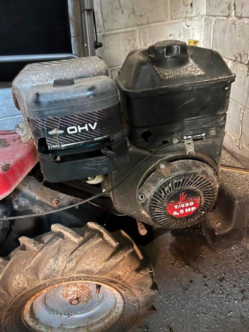TUIN FREES MACHINE (Alleen Ophalen)