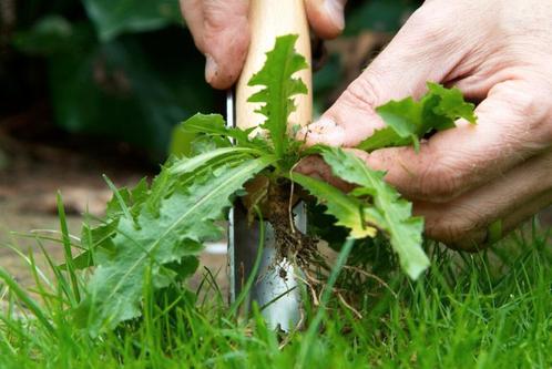 Tuin opknappen