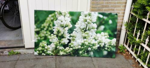 Tuin schilderijen  canvas bloemenprint 80x140 cm, 2 stuks