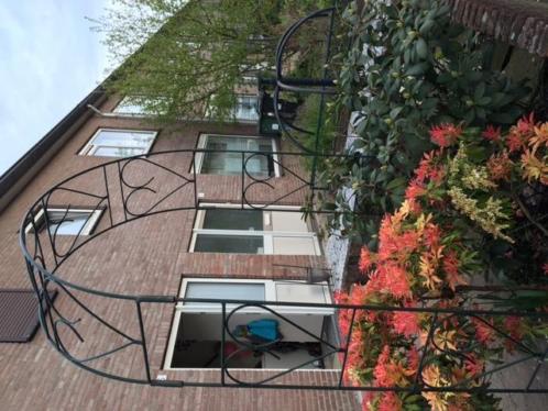 tuinboog rozenboog voor in de tuin, donkergroen met hartjes