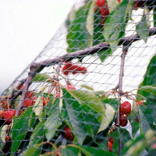 Tuinnet grofmazig OUTLET vanaf  2,10 per stuk