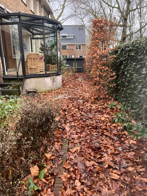 Tuinonderhoud Aangeboden amp meer