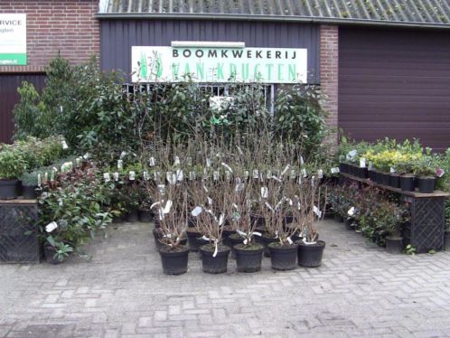 Tuinplantencentrum van krugten drunen