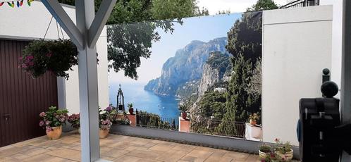 Tuinposter Capri...