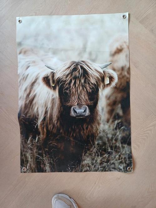 Tuinposter schotse hooglander